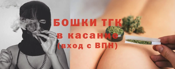 прущие крисы Белокуриха