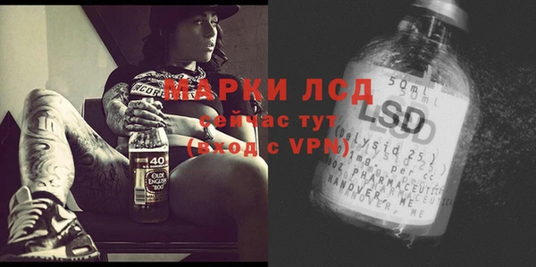 spice Балахна